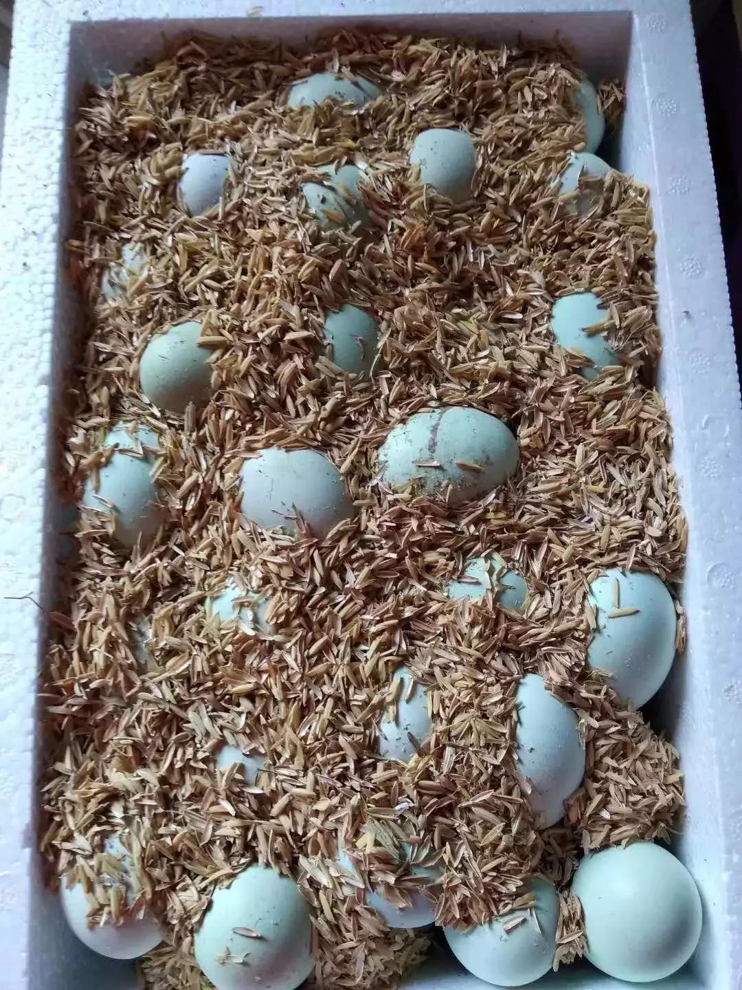 微信图片_20200712020507 微信图片_20200712020507.jpg