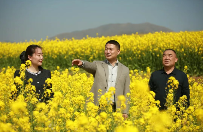 db5f9ab88675eb3c93dfbfc42cc9dae0png