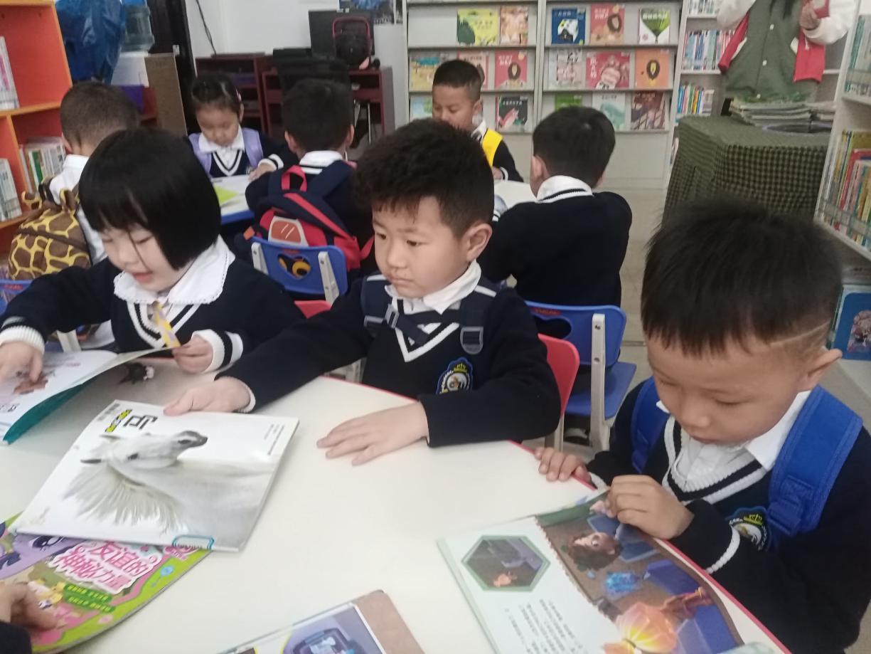 图片3 图片3.jpg?v=1762795613064