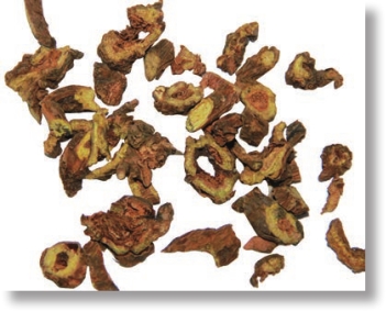 pagenumber_ebook=45,pagenumber_book=32