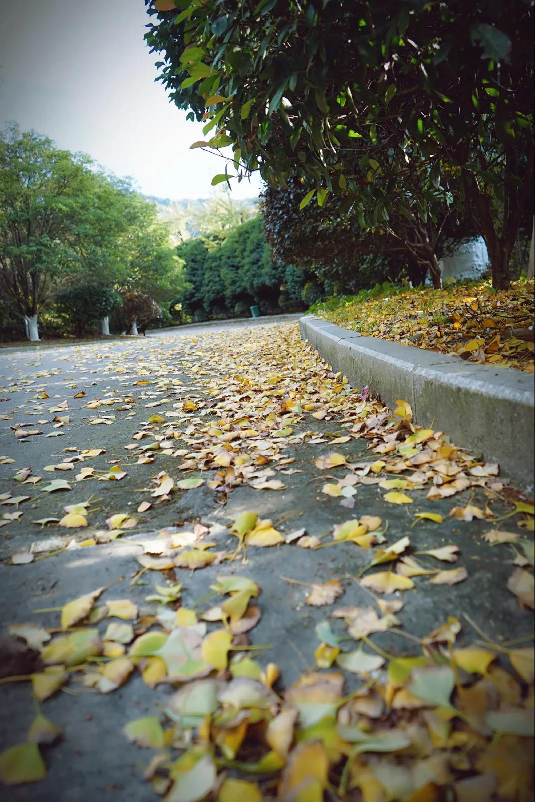 微信图片_20201124233940