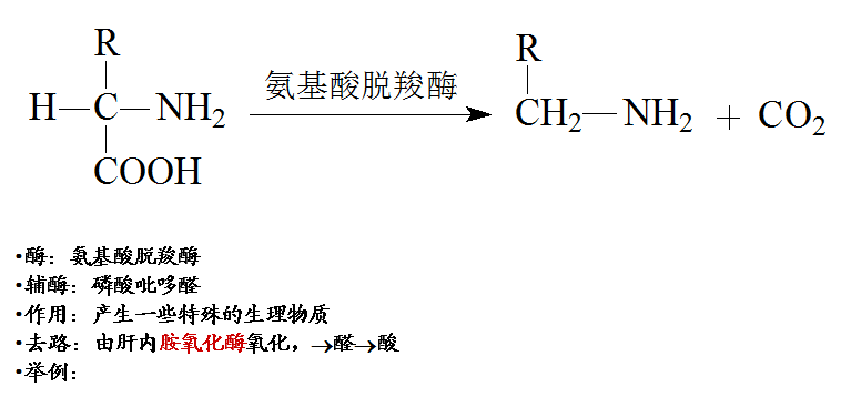 l-谷氨酸氧化酶