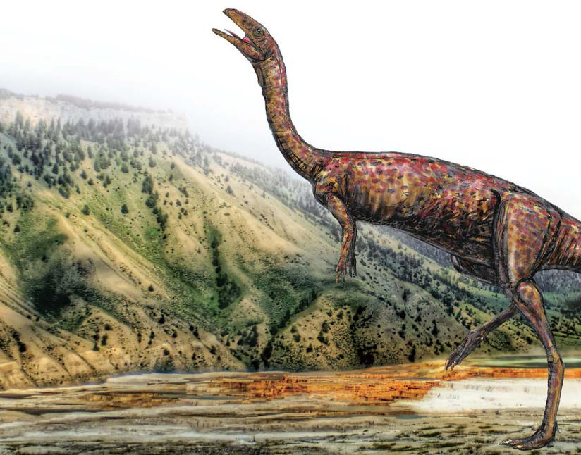 pagenumber_ebook=121,pagenumber_book=110