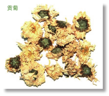 pagenumber_ebook=31,pagenumber_book=18