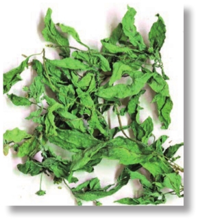 pagenumber_ebook=288,pagenumber_book=275