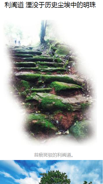 01 01.png?v=1763155759258