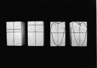 pagenumber_ebook=215,pagenumber_book=206