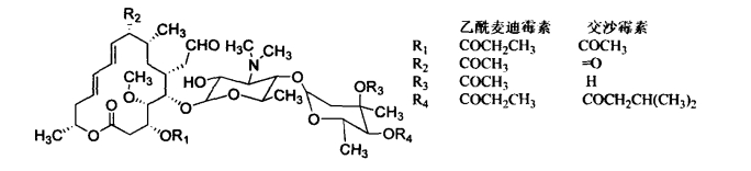 pagenumber_ebook=348,pagenumber_book=330