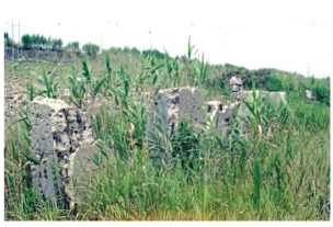 pagenumber_ebook=83,pagenumber_book=68