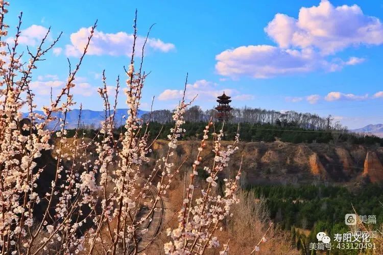 微信图片_20230414095921