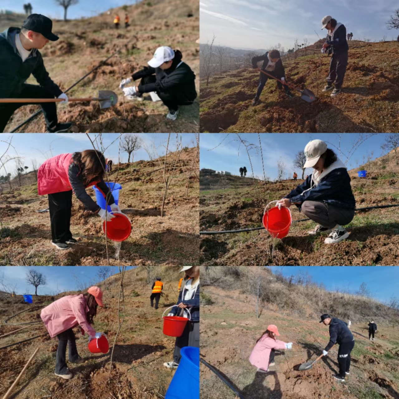 585fde63f04e7e672202d2ff857c9a1 585fde63f04e7e672202d2ff857c9a1.jpg?v=1763142747641