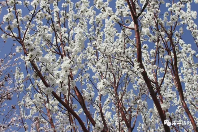 640.webp (2) 640.webp (2).jpg