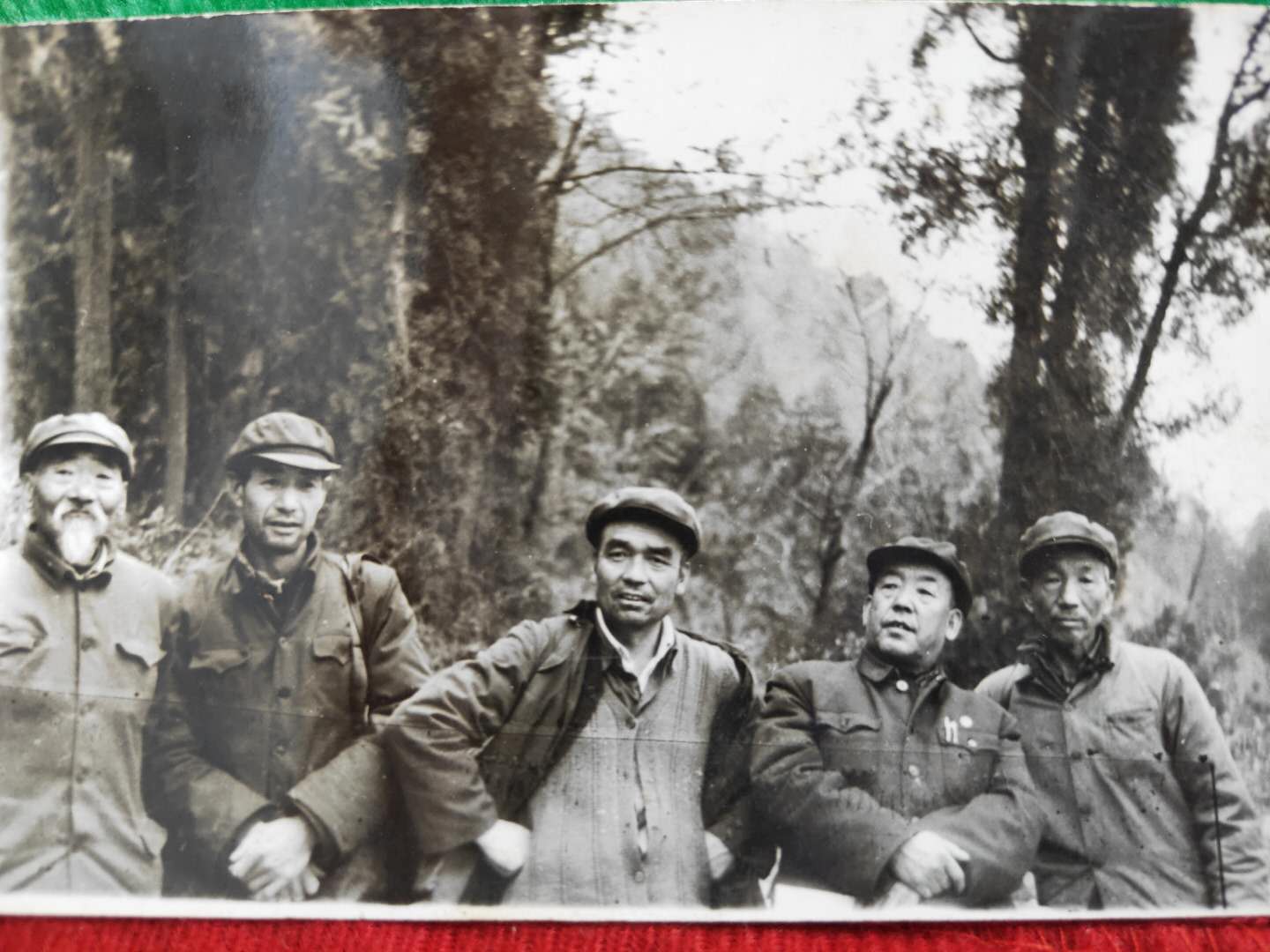 微信图片_20190610173223