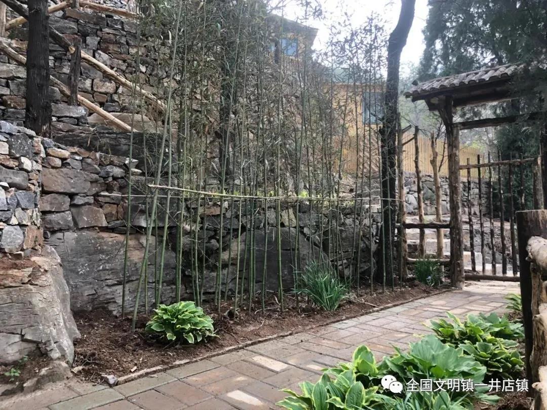 微信图片_20210507094301 微信图片_20210507094301.jpg