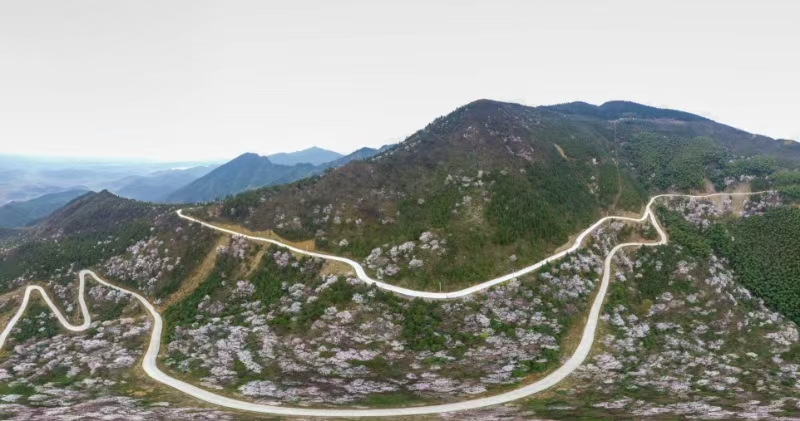 微信图片_1 微信图片_1.jpg