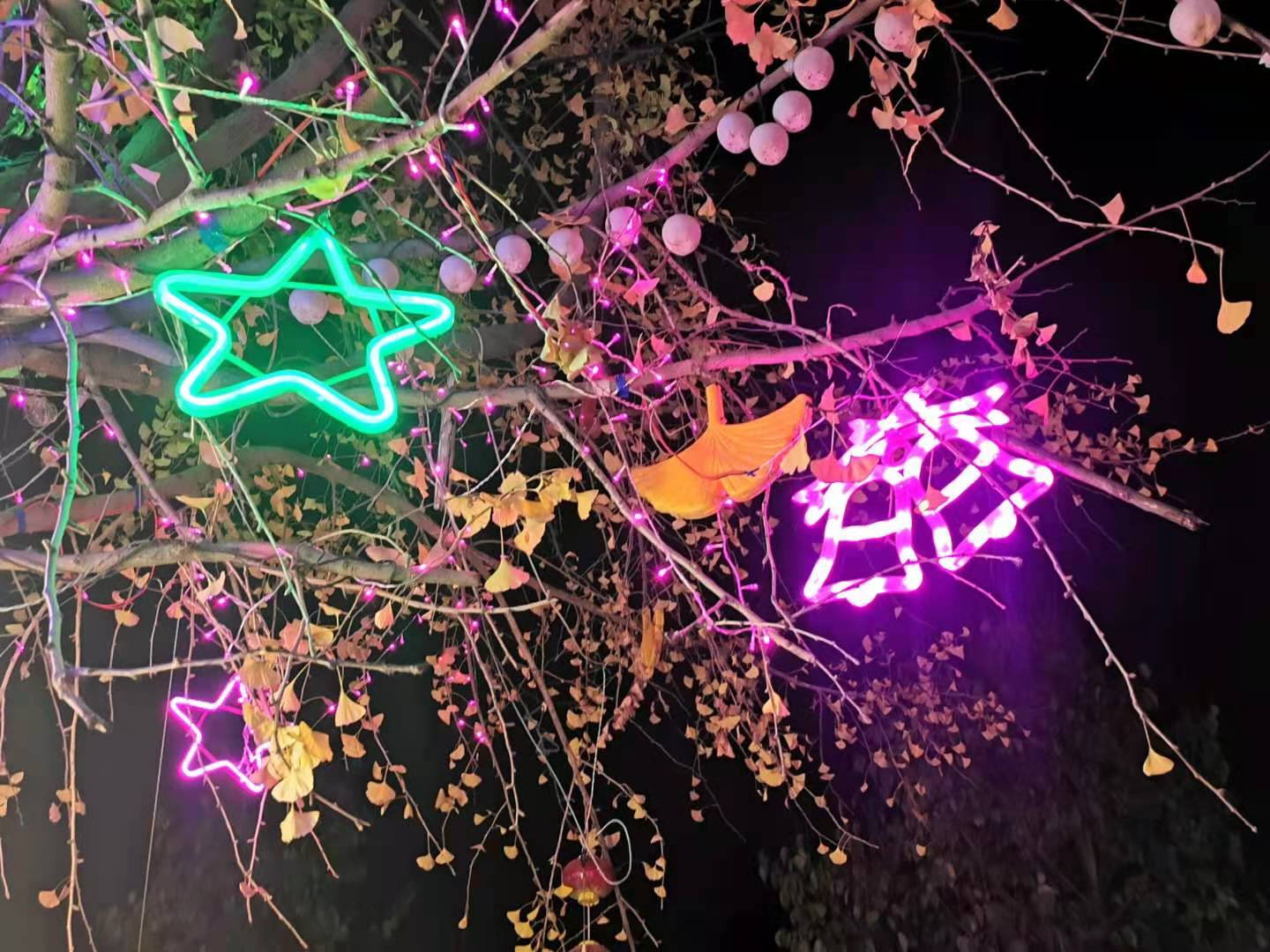 57a5d2364ec929b5ac3eed8795820d8