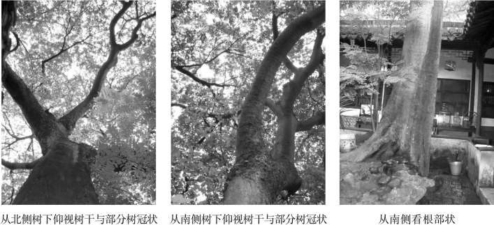 pagenumber_ebook=102,pagenumber_book=102