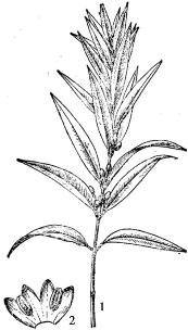 pagenumber_ebook=176,pagenumber_book=176