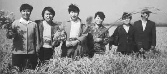 pagenumber_ebook=145,pagenumber_book=133