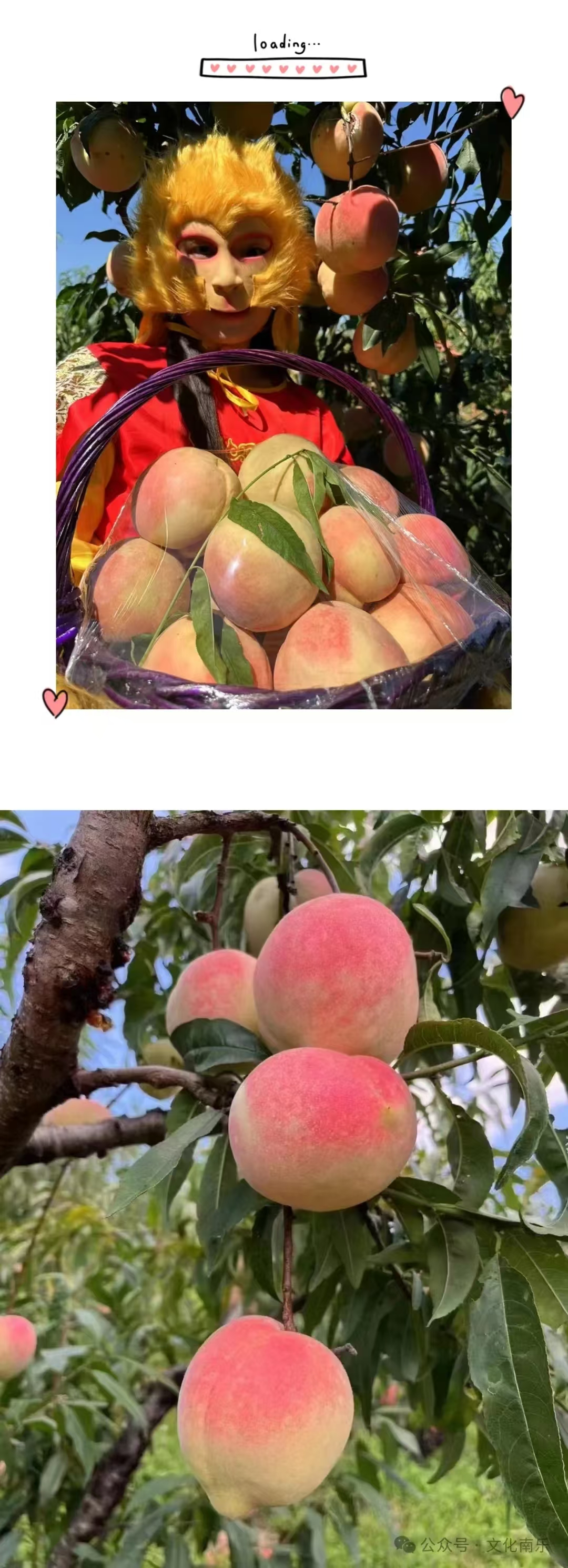 微信图片_20240912094059 微信图片_20240912094059.jpg