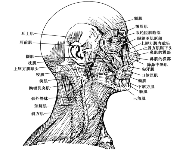 pagenumber_ebook=71,pagenumber_book=62