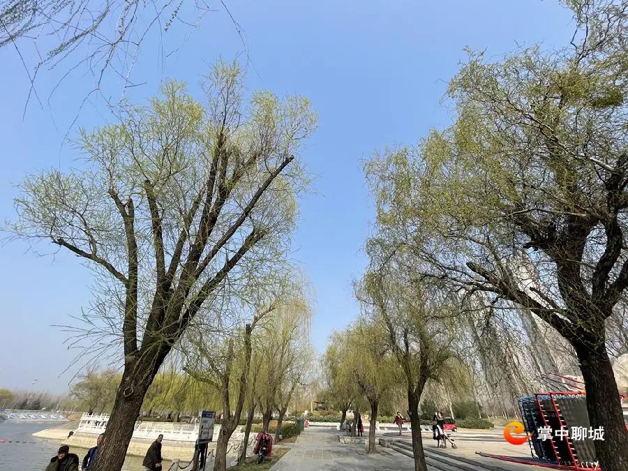 微信图片_20210308084906 微信图片_20210308084906.jpg