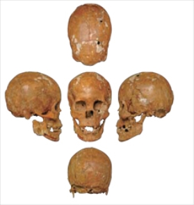 pagenumber_ebook=16,pagenumber_book=6