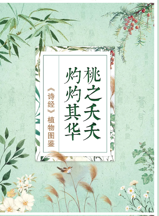 桃之夭夭，灼灼其华——《诗经》植物图鉴 展