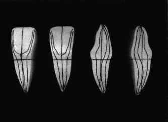 pagenumber_ebook=194,pagenumber_book=185