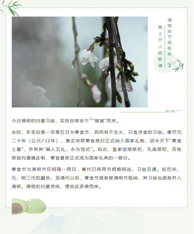 image.png?v=1775247273175