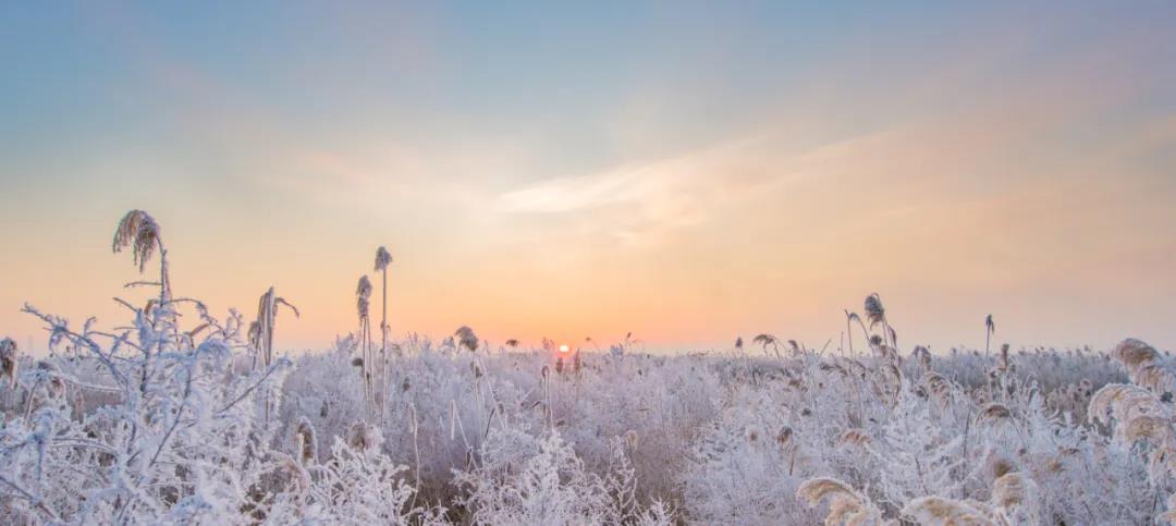 微信图片_20201225095009 微信图片_20201225095009.jpg