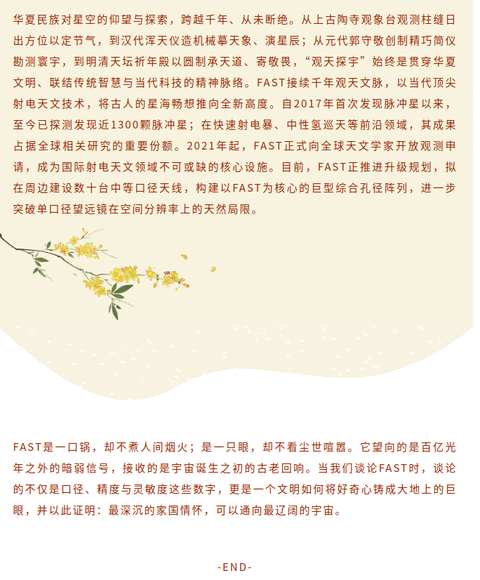 image.png?v=1789631039839