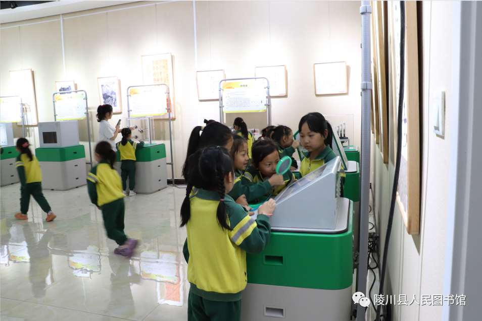 46286e47dabd69464541488305c4840a 46286e47dabd69464541488305c4840a.png?v=1762367104552