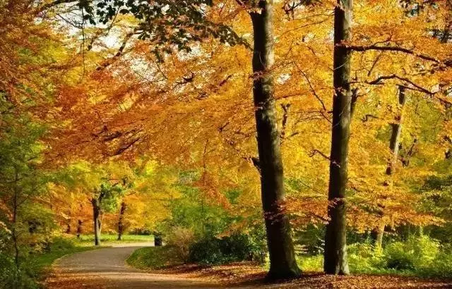 20171026202807_bfu7mvphhi 20171026202807_bfu7mvphhi.png?v=1773792016374