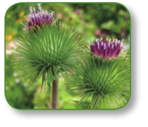 pagenumber_ebook=28,pagenumber_book=15