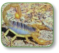 pagenumber_ebook=243,pagenumber_book=230