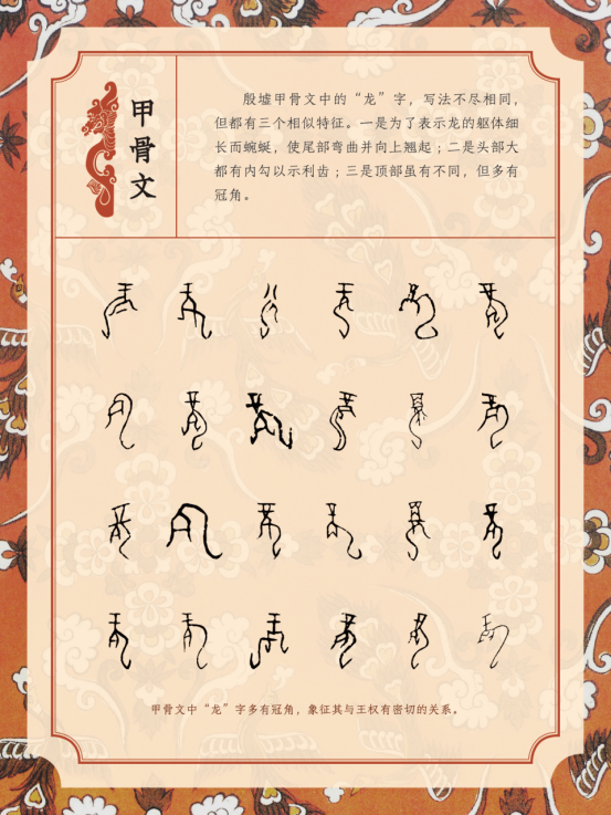 image image.png?v=1763879814567