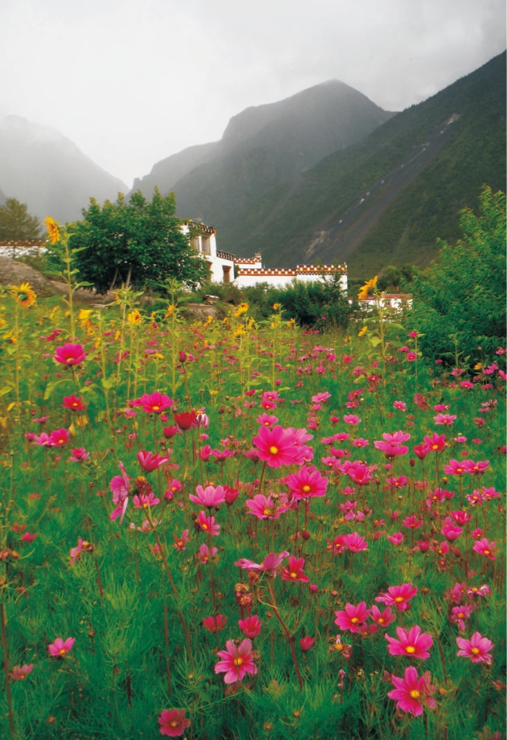 pagenumber_ebook=22,pagenumber_book=10