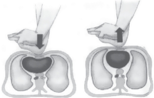 pagenumber_ebook=31,pagenumber_book=23