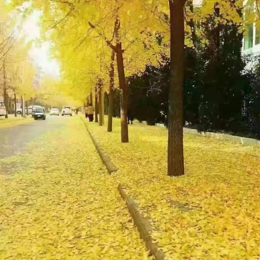 微信图片_202012141726186