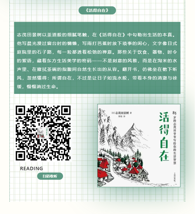 image.png?v=1757830895188