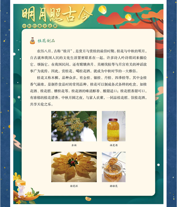 image.png?v=1762100189563