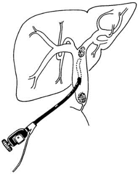 pagenumber_ebook=442,pagenumber_book=427