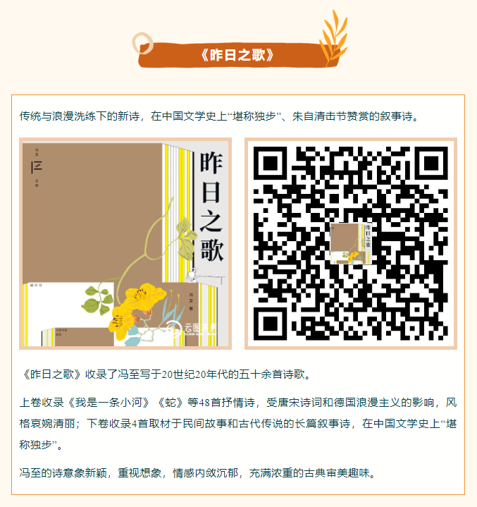 image.png?v=1754494547999