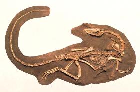 pagenumber_ebook=55,pagenumber_book=44