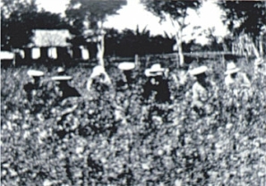 pagenumber_ebook=124,pagenumber_book=109