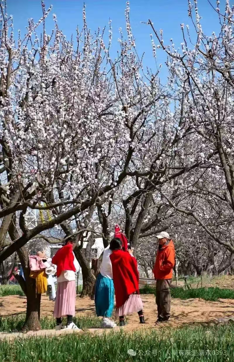 微信图片_2025-08-20_091343_519 微信图片_2025-08-20_091343_519.jpg