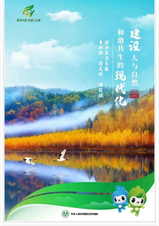 image image.png?v=1760334020463