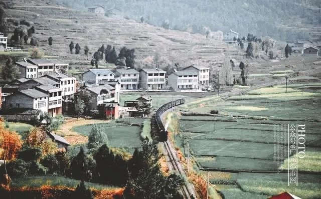 IMG_1438(20200417-111234) IMG_1438(20200417-111234).jpg?v=1765781105416