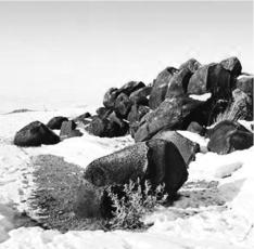 pagenumber_ebook=195,pagenumber_book=185